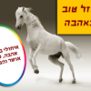 מגנטה - ברכה ליום הולדת, מסגרת לברכה מזל טוב יום הולדת שמח - סוס לבן