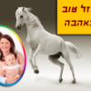 ⁦מסגרת לברכה ליום הולדת עם תמונה / ברכה אישית - דגם סוס לבן⁩ – תמונה ⁦2⁩
