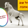 מגנטה - ברכות ליום הולדת, מסגרות לברכות עם תמונות ליום הולדת שמח - סוס לבן