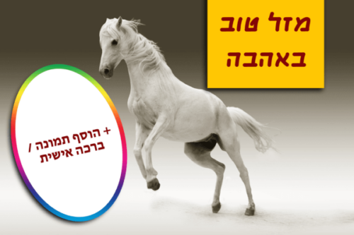 מסגרת לברכה ליום הולדת עם תמונה / ברכה אישית – דגם סוס לבן