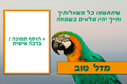 מסגרת לברכה ליום הולדת עם תמונה / ברכה אישית – דגם תוכי ארה