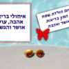 מגנטה - ברכה ליום הולדת, מסגרת לברכה מזל טוב יום הולדת שמח - שפת בריכה משקפי שמש