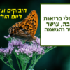 מגנטה - ברכה ליום הולדת, מסגרת לברכה מזל טוב יום הולדת שמח - פרפר