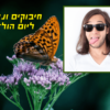 ⁦מסגרת לברכה ליום הולדת עם תמונה / ברכה אישית - דגם Butterfly⁩ – תמונה ⁦2⁩