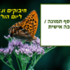 מגנטה - ברכות ליום הולדת, מסגרות לברכות עם תמונות ליום הולדת שמח - פרפר