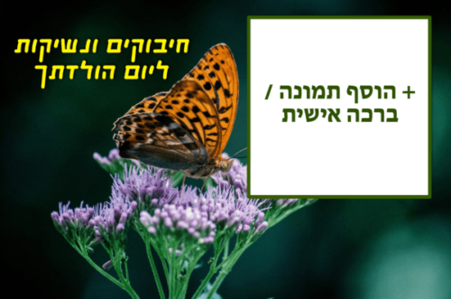 מסגרת לברכה ליום הולדת עם תמונה / ברכה אישית – דגם Butterfly