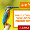 מגנטה - ברכה ליום הולדת, מסגרת לברכה מזל טוב יום הולדת שמח - שלדג