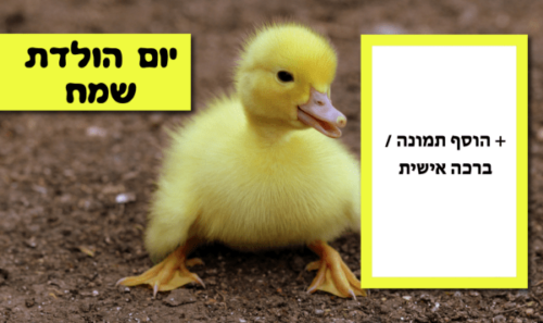 מסגרת לברכה ליום הולדת עם תמונה / ברכה אישית – דגם אפרוח