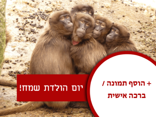 מסגרת לברכה ליום הולדת עם תמונה / ברכה אישית – דגם קופיף קטן