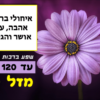 מגנטה - ברכה ליום הולדת, מסגרת לברכה מזל טוב יום הולדת שמח - פרח סגול