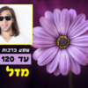 ⁦מסגרת לברכה ליום הולדת עם תמונה / ברכה אישית - דגם Purple Spring⁩ – תמונה ⁦2⁩