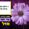 מגנטה - ברכות ליום הולדת, מסגרות לברכות עם תמונות ליום הולדת שמח - פרח סגול שפע ברכות ואיחולים