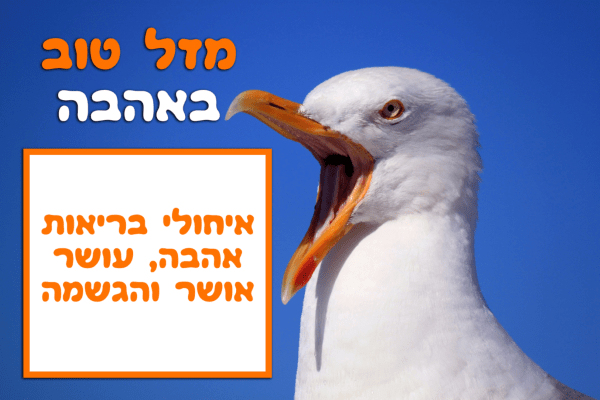 Read more about the article תמונה ליום הולדת עם מסגרת לברכה – שחף