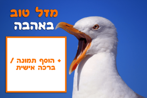 מסגרת לברכה ליום הולדת עם תמונה / ברכה אישית – דגם שחף