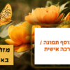 מגנטה - ברכות ליום הולדת, מסגרות לברכות עם תמונות ליום הולדת שמח - פרפרים מזל טוב באהבה