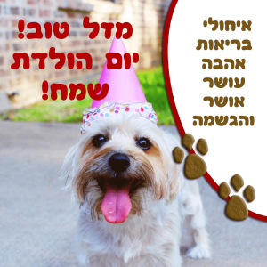 Read more about the article תמונה ליום הולדת עם מסגרת לברכה – כלב כובע ליצן