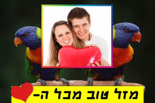 מגנטה - ברכה ליום הולדת, מסגרת לברכה מזל טוב יום הולדת שמח - זוג תוכי אהבה