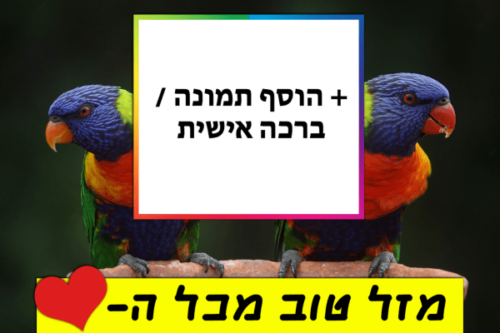 מסגרת לברכה ליום הולדת עם תמונה / ברכה אישית – דגם Lorikeet