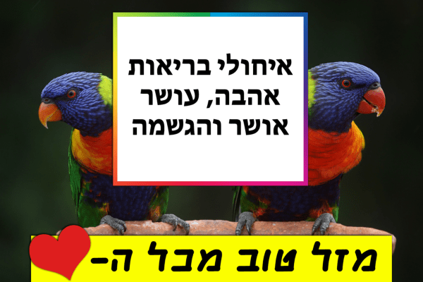 Read more about the article תמונה ליום הולדת עם מסגרת לברכה – תוכי אהבה