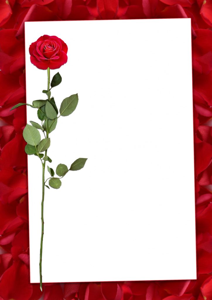 You are currently viewing מסגרת לברכה ליום הולדת – יום הולדת שמח פרחים – 1